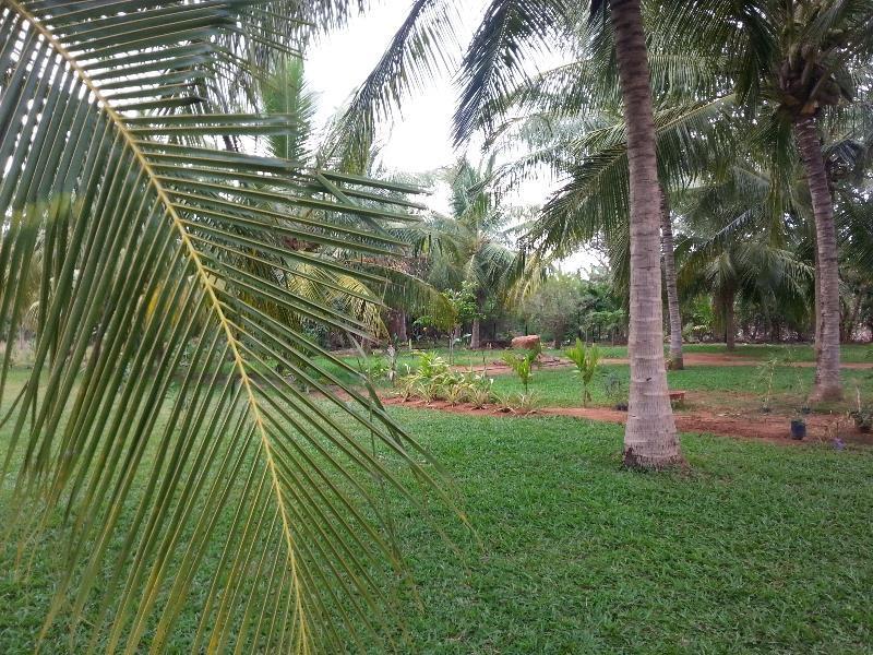 Serenity Lake Resort Yala Tissamaharama Exteriör bild