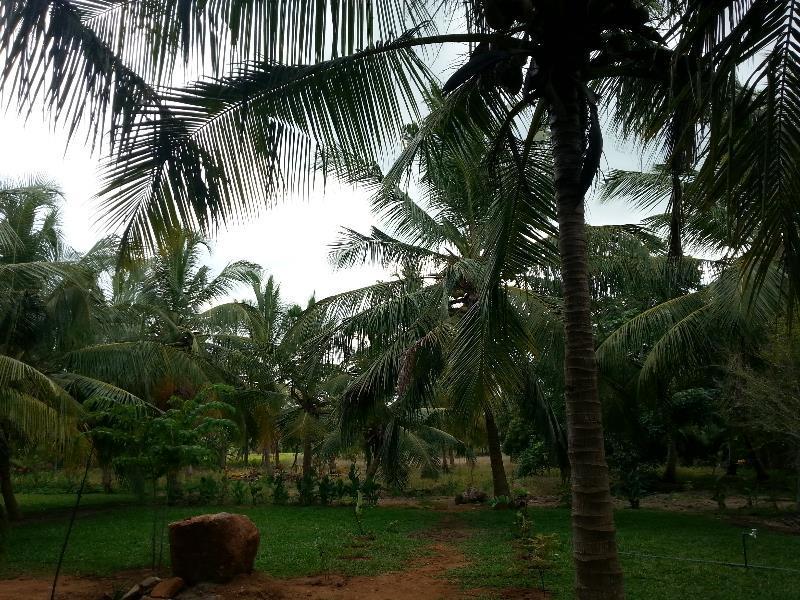 Serenity Lake Resort Yala Tissamaharama Exteriör bild