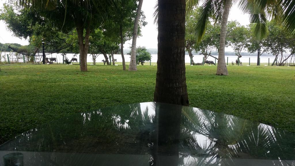 Serenity Lake Resort Yala Tissamaharama Exteriör bild