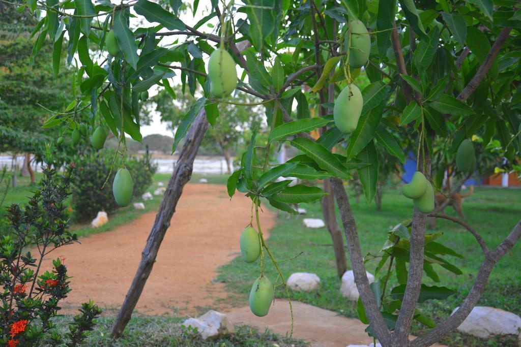 Serenity Lake Resort Yala Tissamaharama Exteriör bild