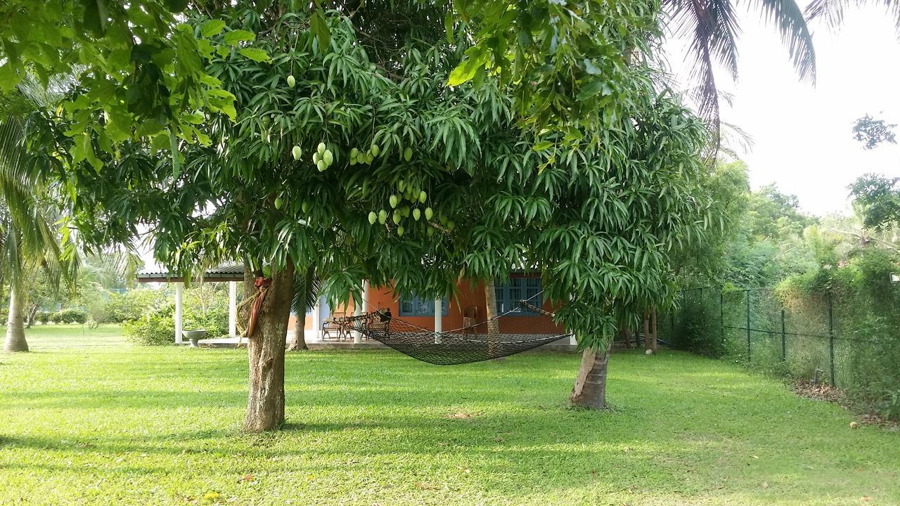 Serenity Lake Resort Yala Tissamaharama Exteriör bild